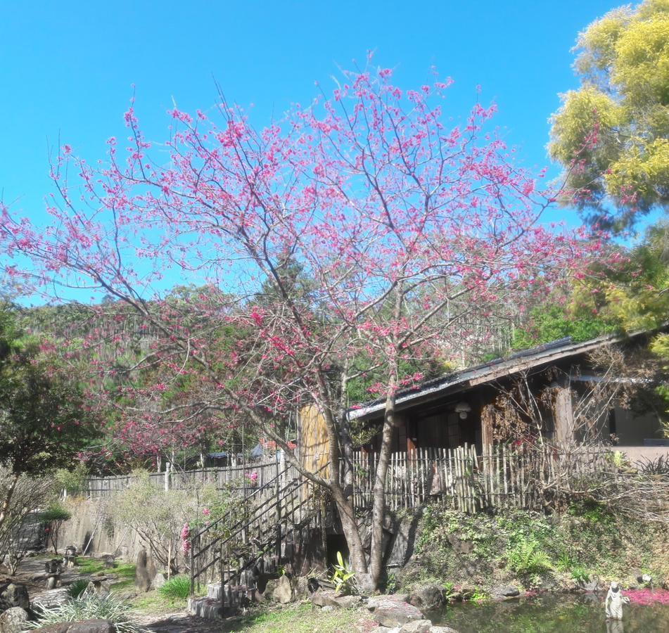 Dongshi  Bright Moon Homestay מראה חיצוני תמונה