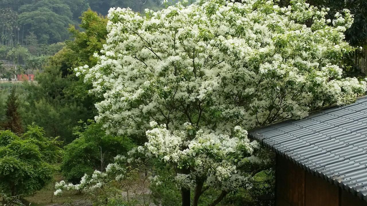 Dongshi  Bright Moon Homestay מראה חיצוני תמונה