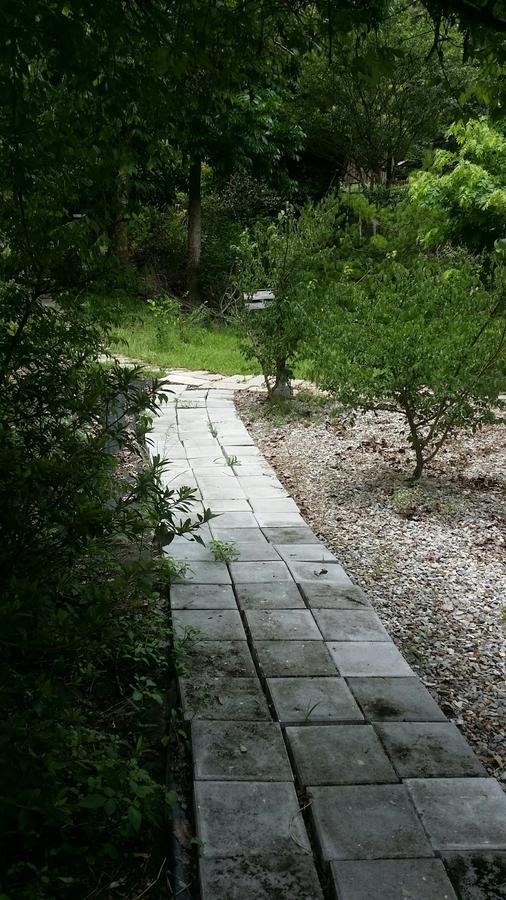 Dongshi  Bright Moon Homestay מראה חיצוני תמונה