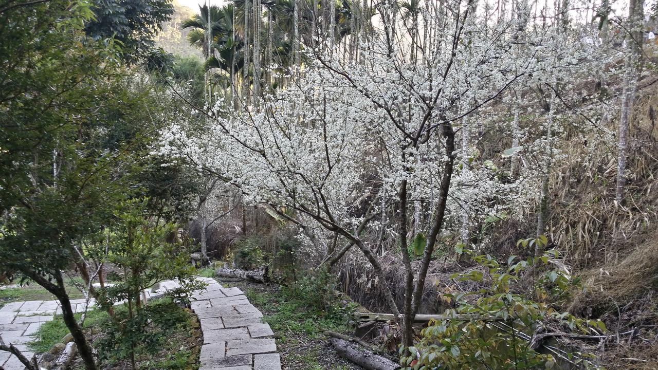 Dongshi  Bright Moon Homestay מראה חיצוני תמונה